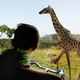 Illustration for article titled A Redesigned Zoo Where Humans Stay Hidden Could Be Better For Animals